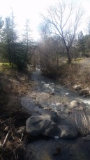 Turnback Creek at Westside