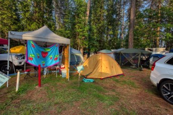 spring strawberry music festival