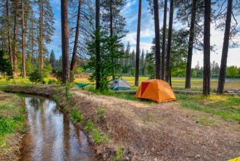 spring strawberry music festival