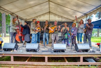 spring strawberry music festival