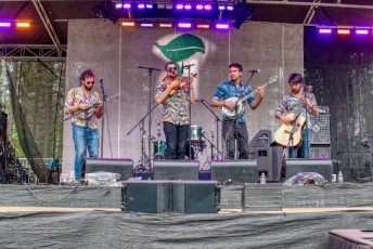 spring strawberry music festival