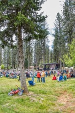 spring strawberry music festival