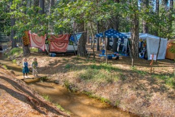 spring strawberry music festival