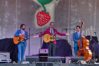 spring strawberry music festival