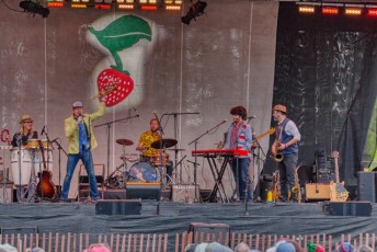 spring strawberry music festival