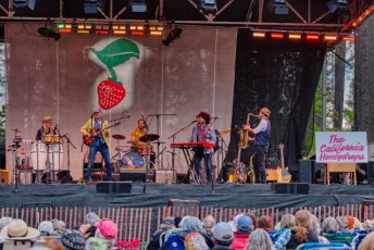 spring strawberry music festival