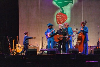 spring strawberry music festival