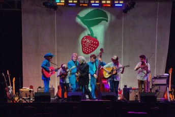 spring strawberry music festival