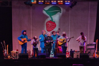 spring strawberry music festival