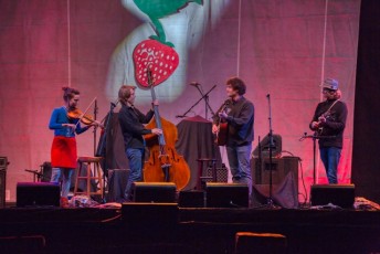spring strawberry music festival