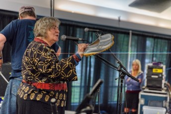 spring strawberry music festival