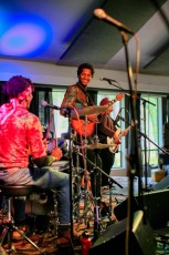 spring strawberry music festival