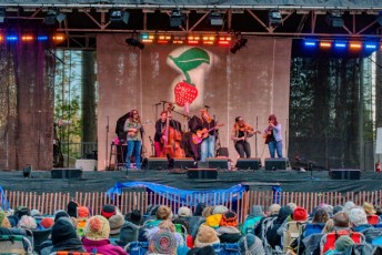 spring strawberry music festival