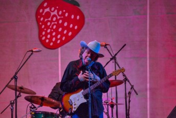 spring strawberry music festival