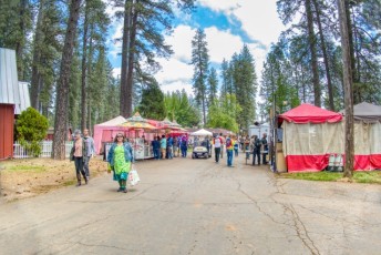 spring strawberry music festival