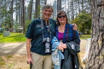 spring strawberry music festival