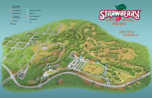 Strawberry Music Festival 2020 Fall Strawberry Music Festival | Strawberry Music Festival Strawberry Music Festival 2020 Fall Strawberry Music Festival | Strawberry Music Festival