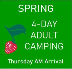 Spring 4-Day Adult Camping