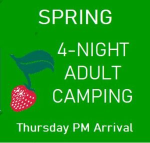 Spring 4-Night Adult Camping