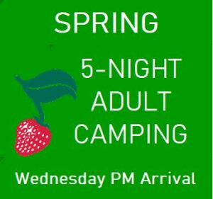 Spring 5-Night Adult Camping