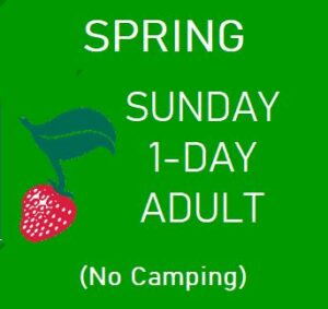 Spring Sunday 1-Day Adult (No Camping)