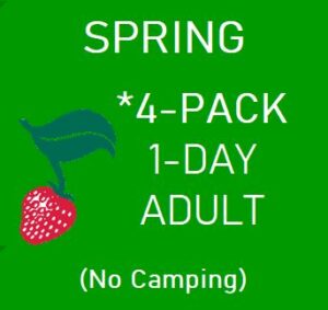 Spring *4-Pack* 1-Day Adult (All 4 days, No Camping)