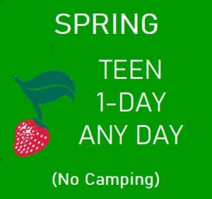 Spring Teen 1-Day (No Camping)