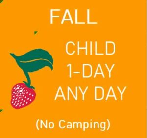 Fall Child 1-Day (No Camping)