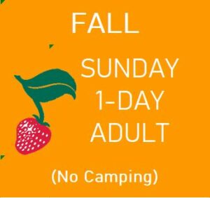 Fall Sunday 1-Day Adult (No Camping)